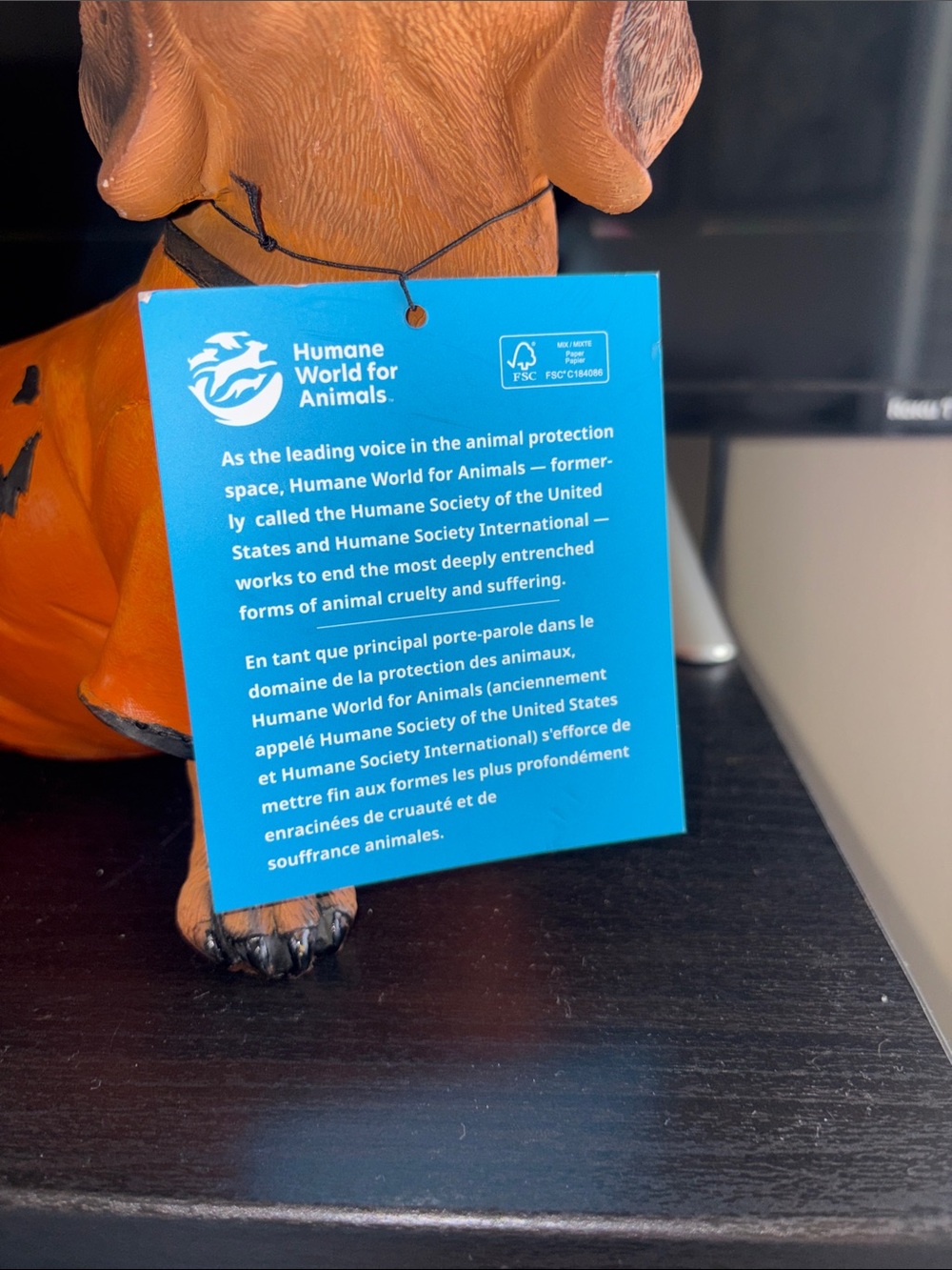 Festive Orange Dachshund Halloween Figurine with Witch Hat - Picture 8 of 9